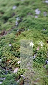 离婚律师复婚 过期不候